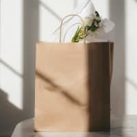 A paper gift bag in the sunlight